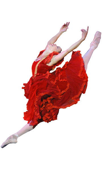 Janessa Touchet Carmel IN Death – Janessa Touchet Obituary – Janessa Touchet, Principal Dancer at Cincinnati Ballet Passed Away